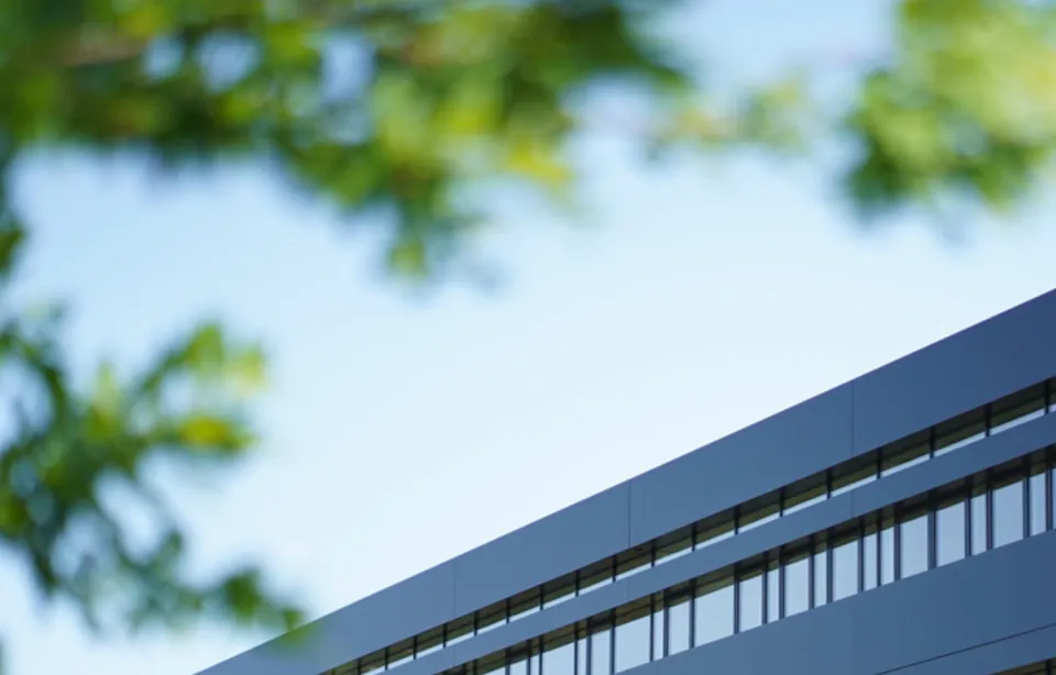 Gebäude der Hochschule Neu-Ulm hinter grünen Blättern